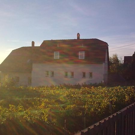 Berkes Vendeghaz Bed & Breakfast Badacsonytördemic Екстериор снимка