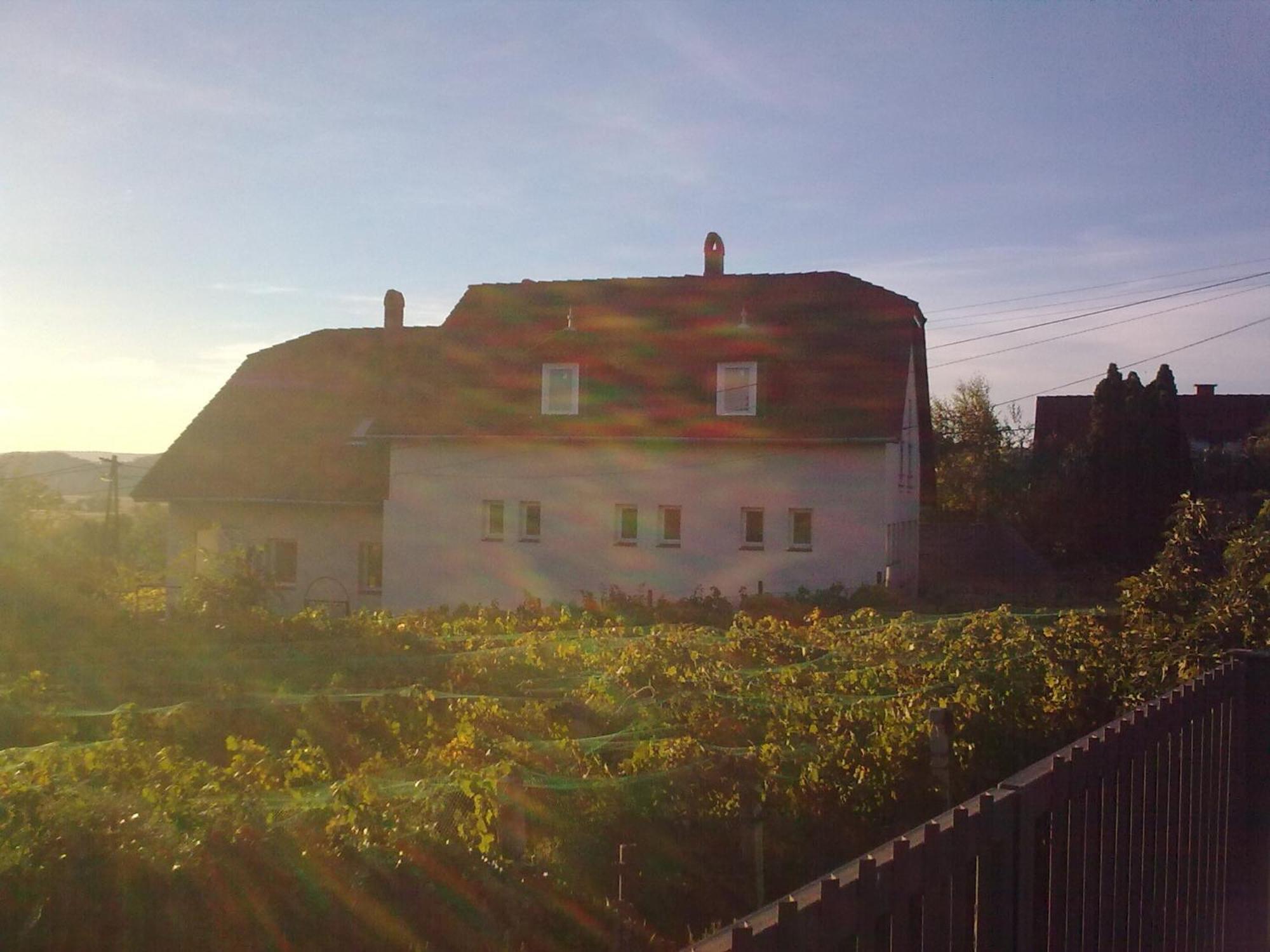 Berkes Vendeghaz Bed & Breakfast Badacsonytördemic Екстериор снимка